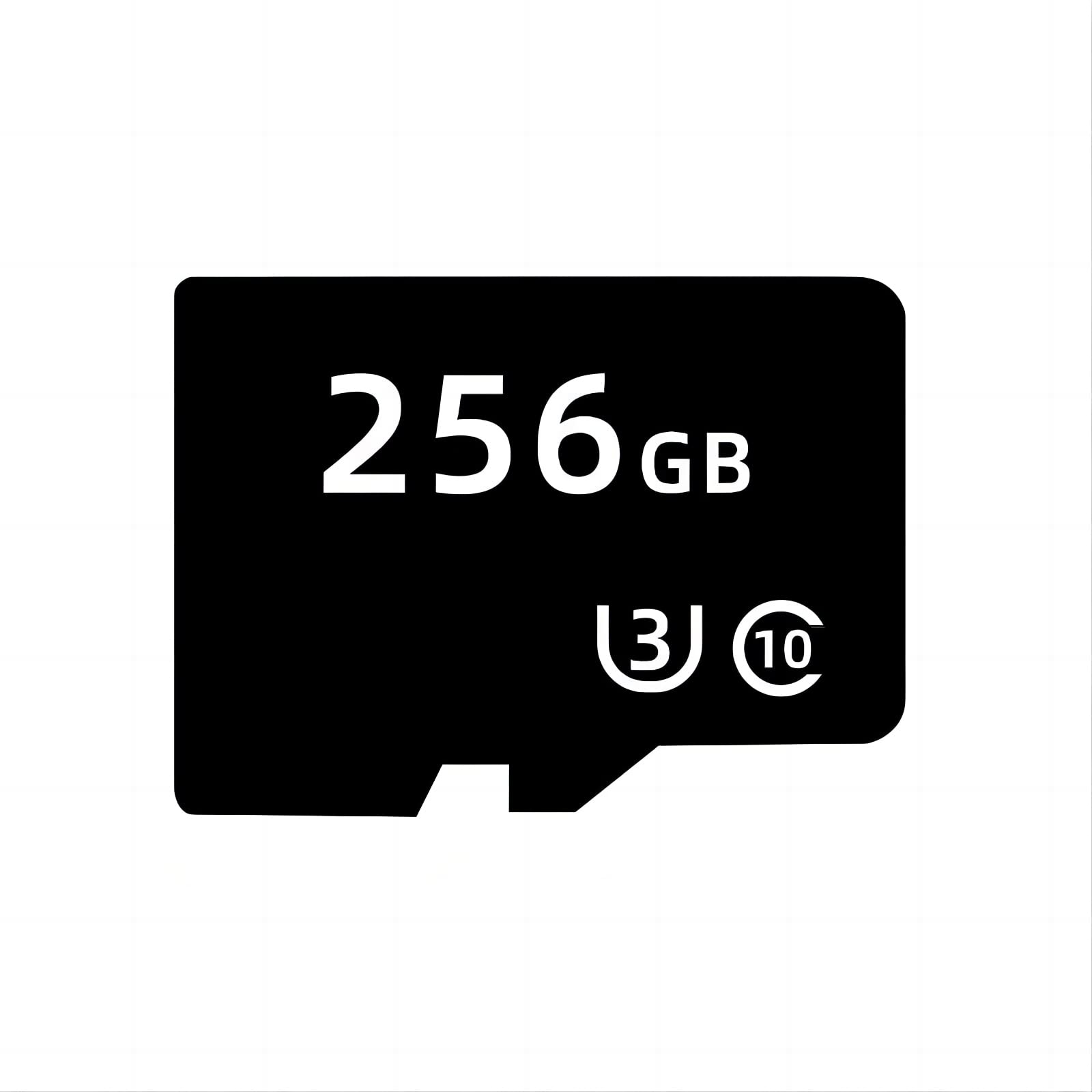 Tarjeta Micro SD de 256G con 35000 Juegos Integrados para