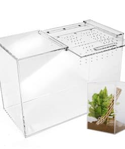 Terrario de Tarántula XL (10�x7�x14�) Terrario de Reptiles