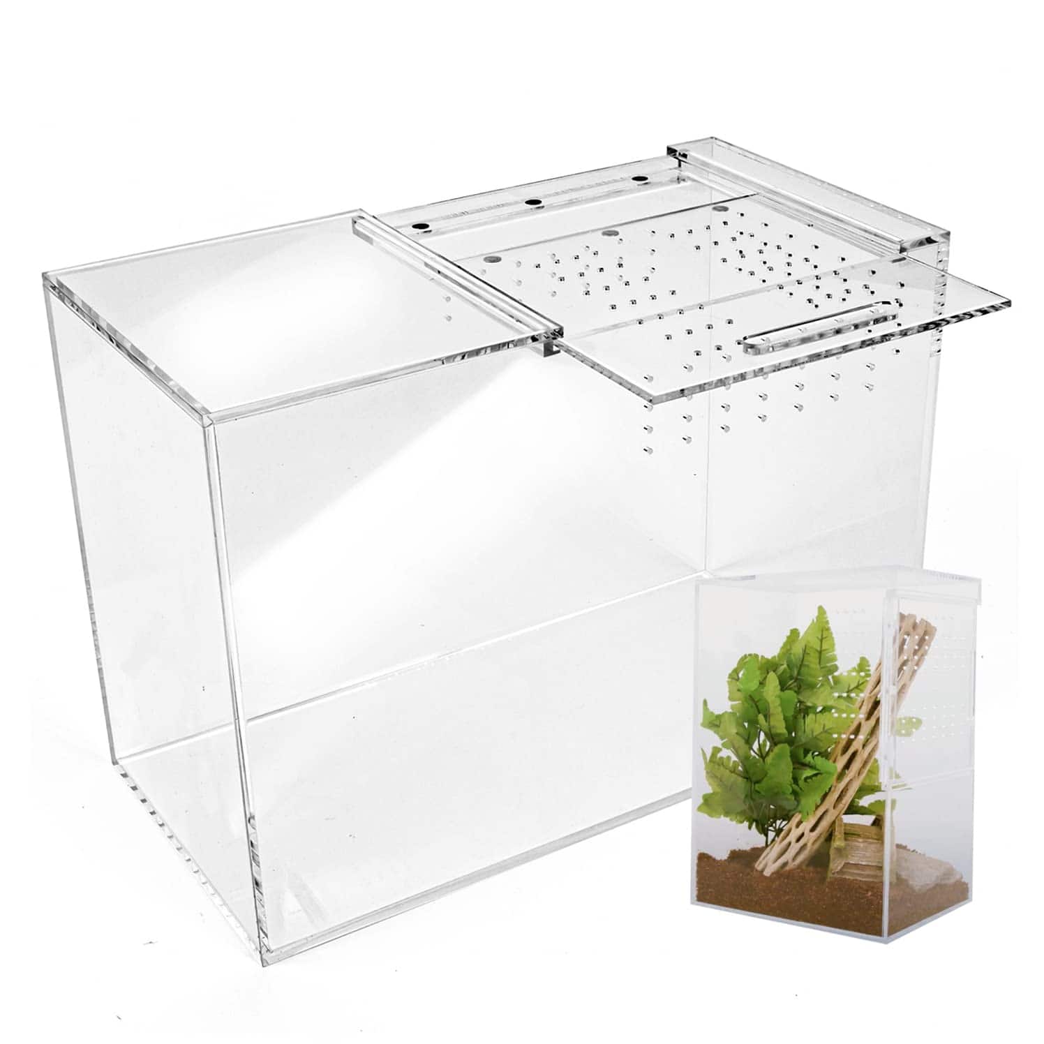 Terrario de Tarántula XL (10�x7�x14�) Terrario de Reptiles