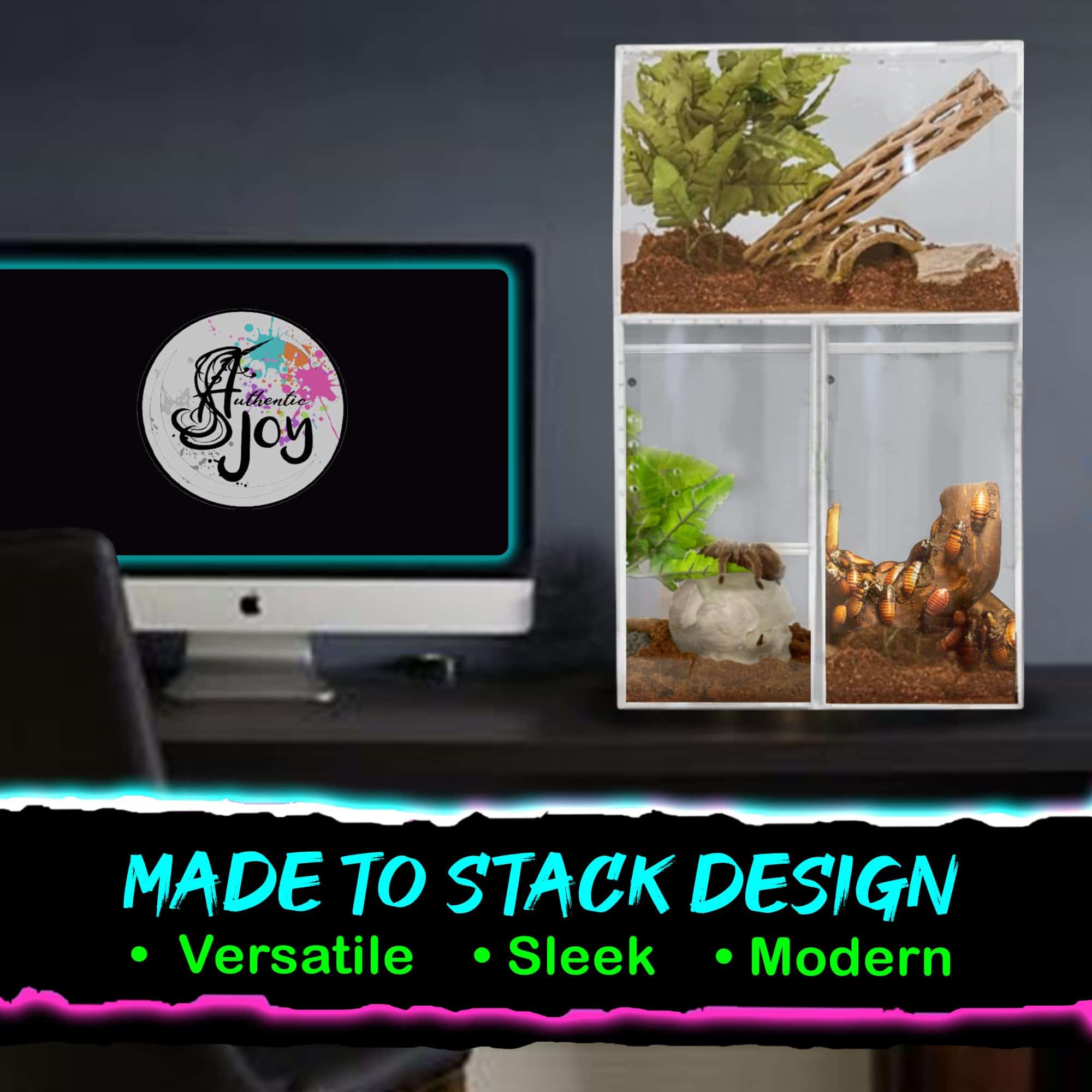 Terrario de Tarántula XL (10�x7�x14�) Terrario de Reptiles - Imagen 7