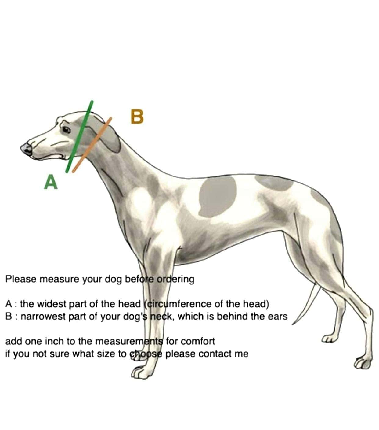 Collar Martingale para Perros Galgos, Salukis, Whippets y - Imagen 6