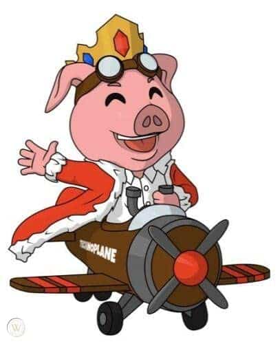 Figura de vinilo Technoblade Technoplane de YouTooz #91 - Imagen 3