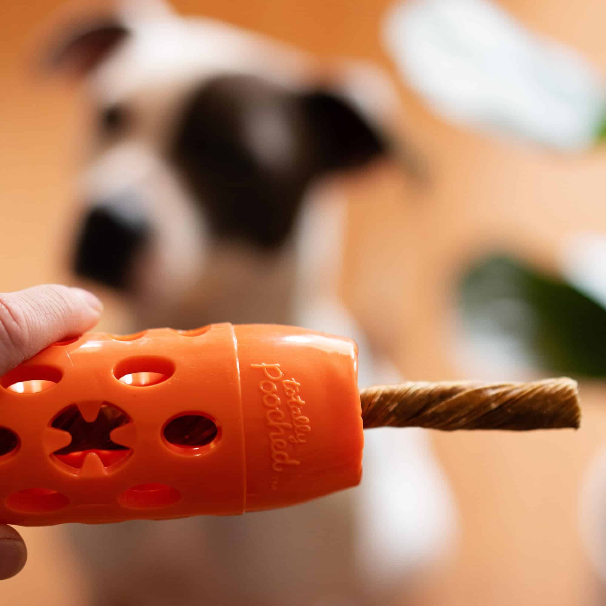 Juguete Interactivo para Perros Messy Mutts Totally Pooched - Imagen 7