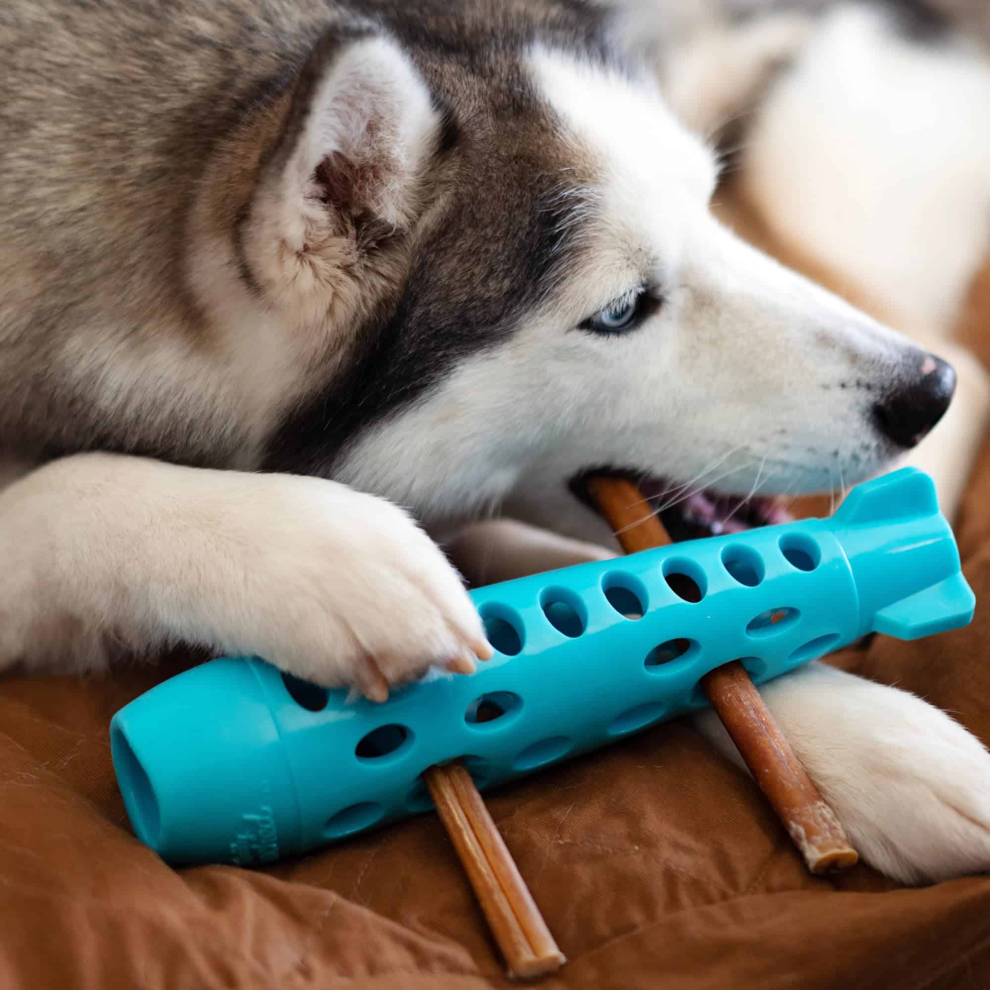 Juguete Interactivo para Perros Messy Mutts Totally Pooched - Imagen 6