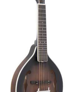 Gold Tone A-6: Mando-Guitarra de Estilo A con Pastilla y