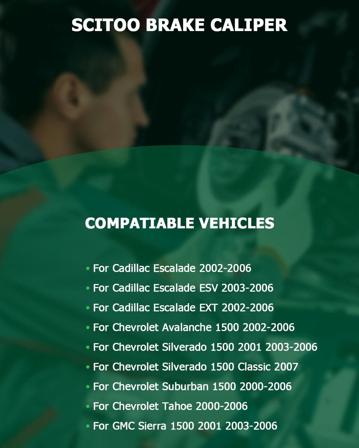 Calibrador de Freno Trasero Izquierdo con Soporte 18-B4764 - Imagen 6