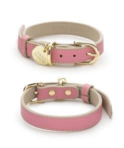 Collar para Perros de Cuero Vegano NINA WOOF Rio - Collar