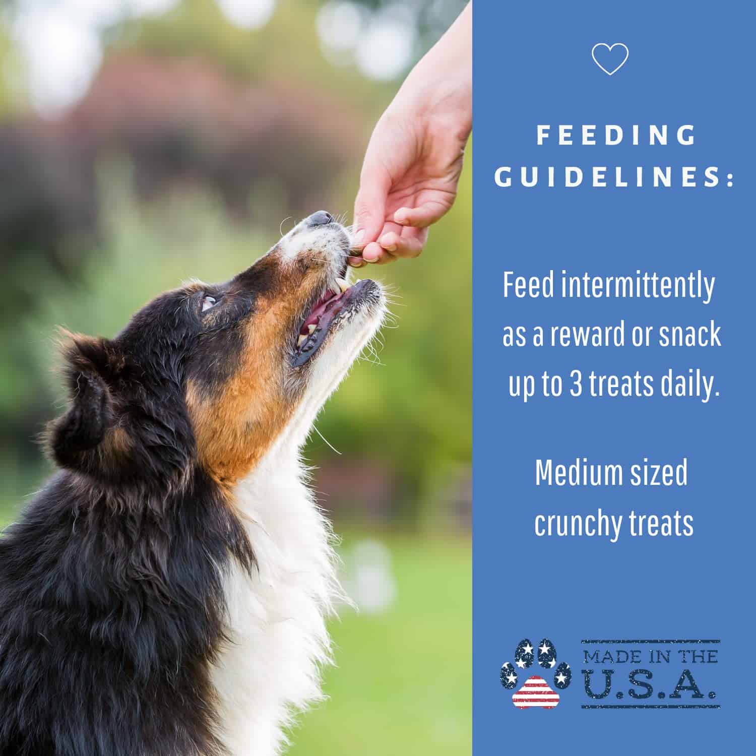 Galletas Orgánicas de Blueberry Banana Coco para Perros de - Imagen 8