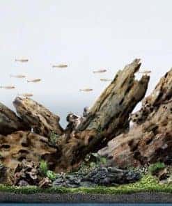 LANDEN Dragon Wood Madera Natural para Acuario Agua Dulce,