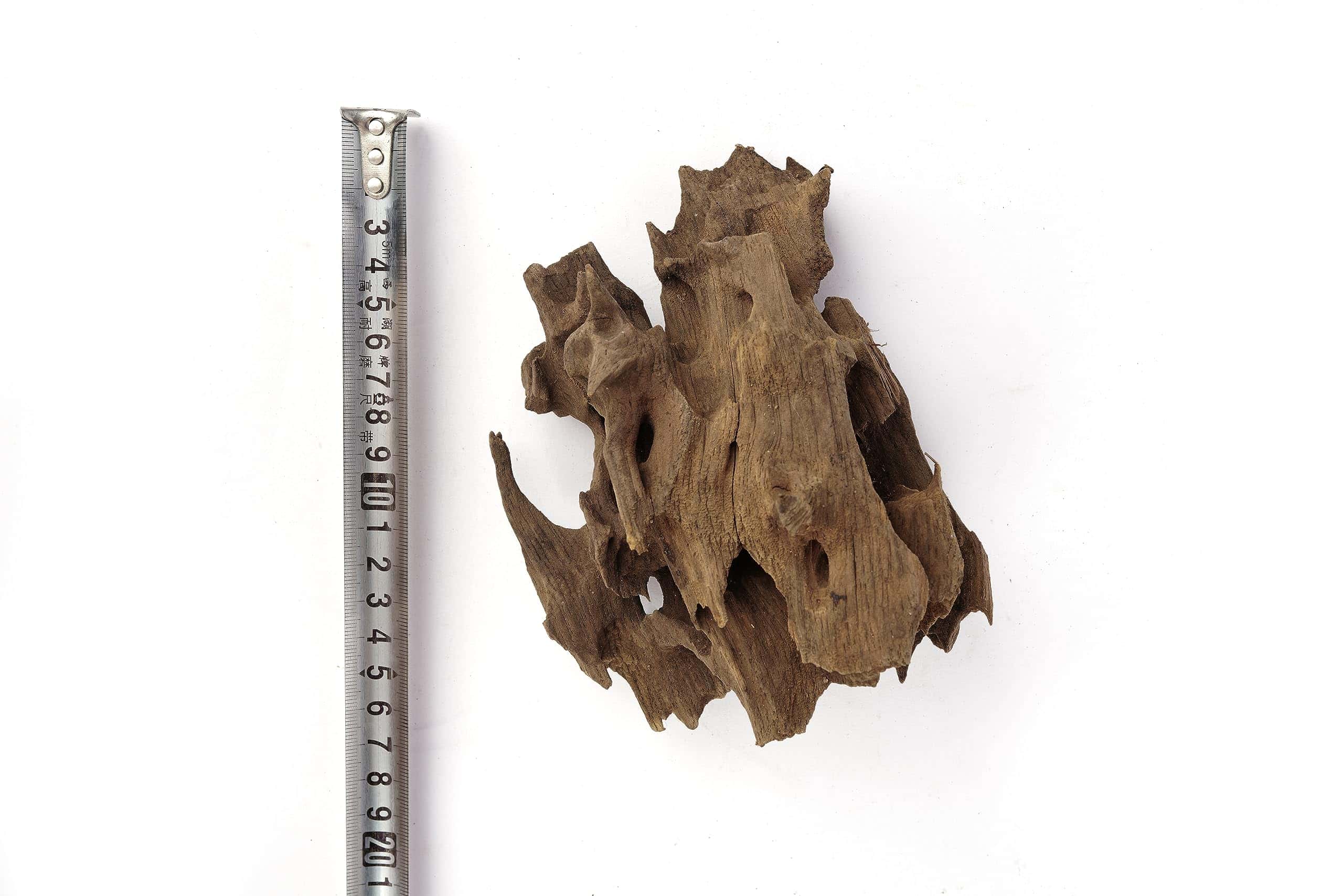 LANDEN Dragon Wood Madera Natural para Acuario Agua Dulce, - Imagen 8