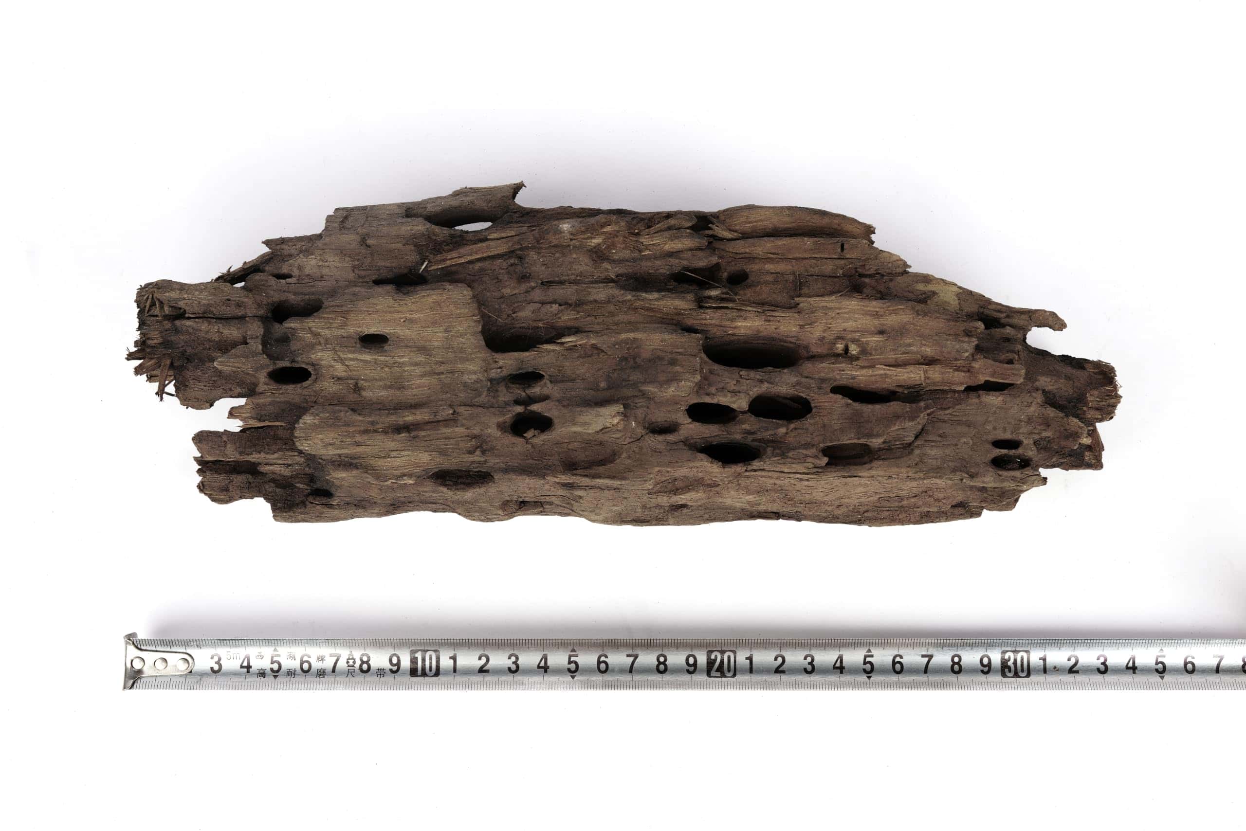 LANDEN Dragon Wood Madera Natural para Acuario Agua Dulce, - Imagen 7