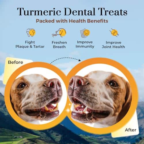 Chucherías para perros de leche de yak del Himalaya con - Imagen 3