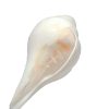 Concha de Shankh de 5 pulgadas grande color blanco original