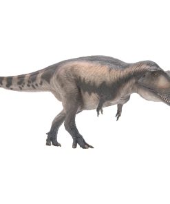 Modelos de Dinosaurios Prehistóricos PNSO (68 Mila el