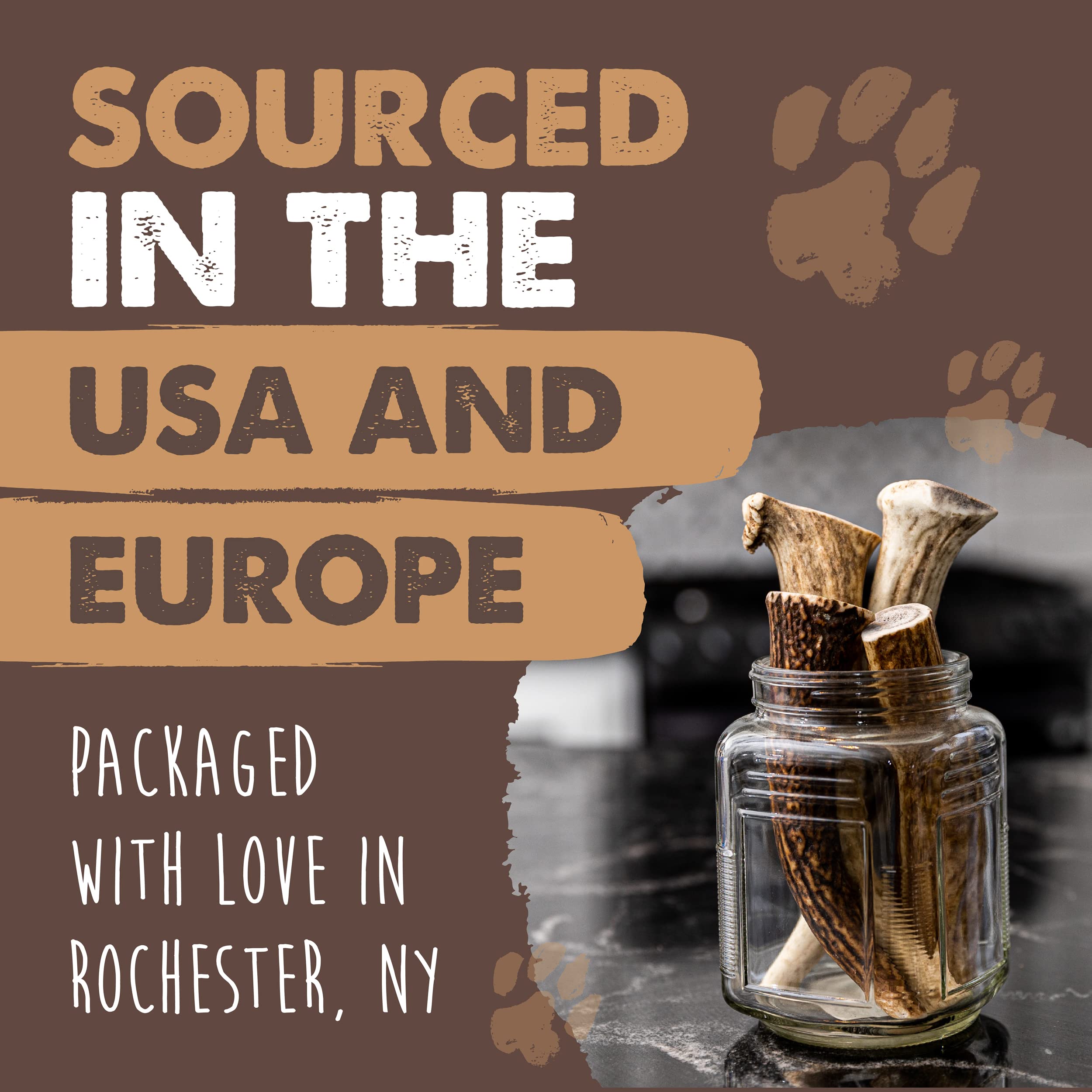 Cornamentas de Alce Mighty Paw para Perros | Tamaño - Imagen 10