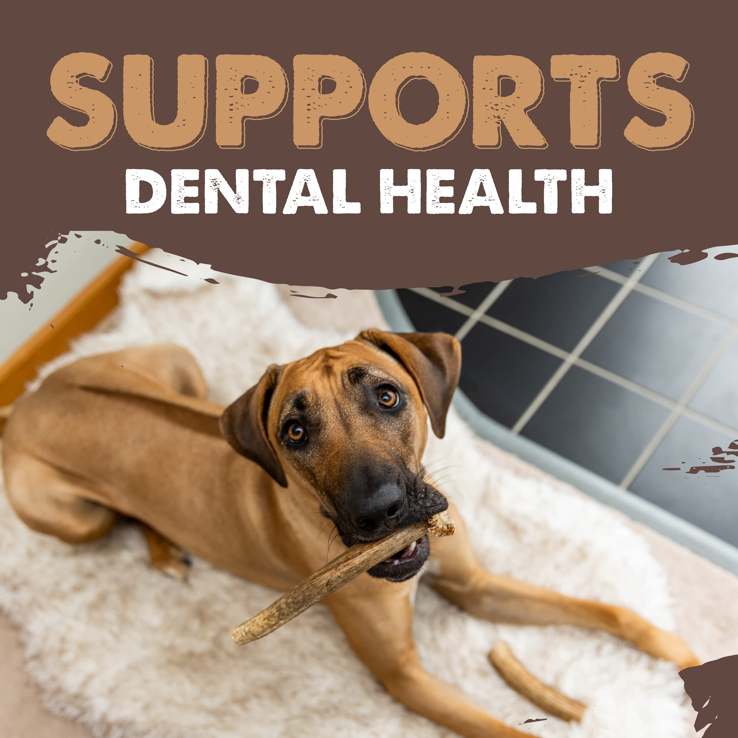 Cornamentas de Alce Mighty Paw para Perros | Tamaño - Imagen 8