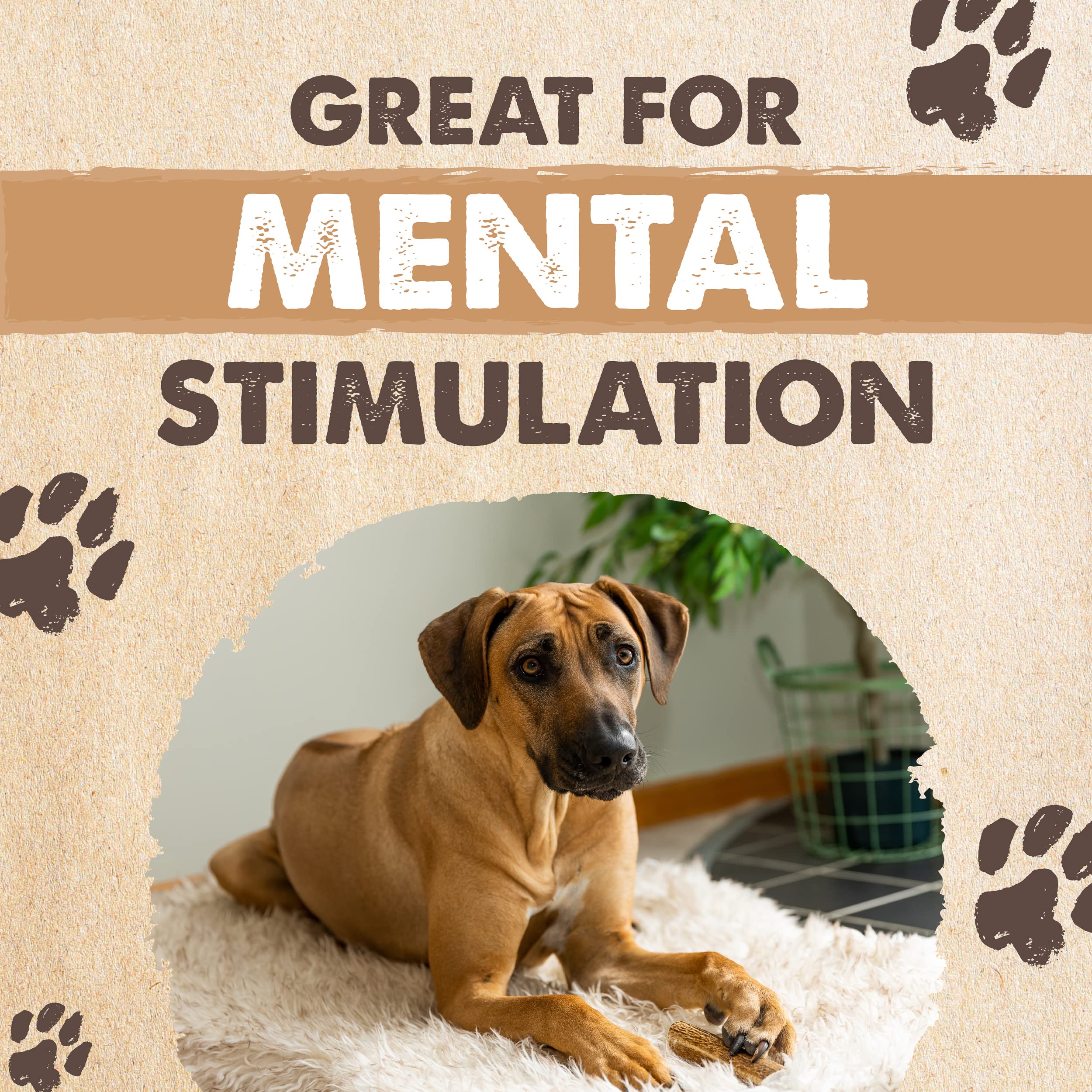 Cornamentas de Alce Mighty Paw para Perros | Tamaño - Imagen 9