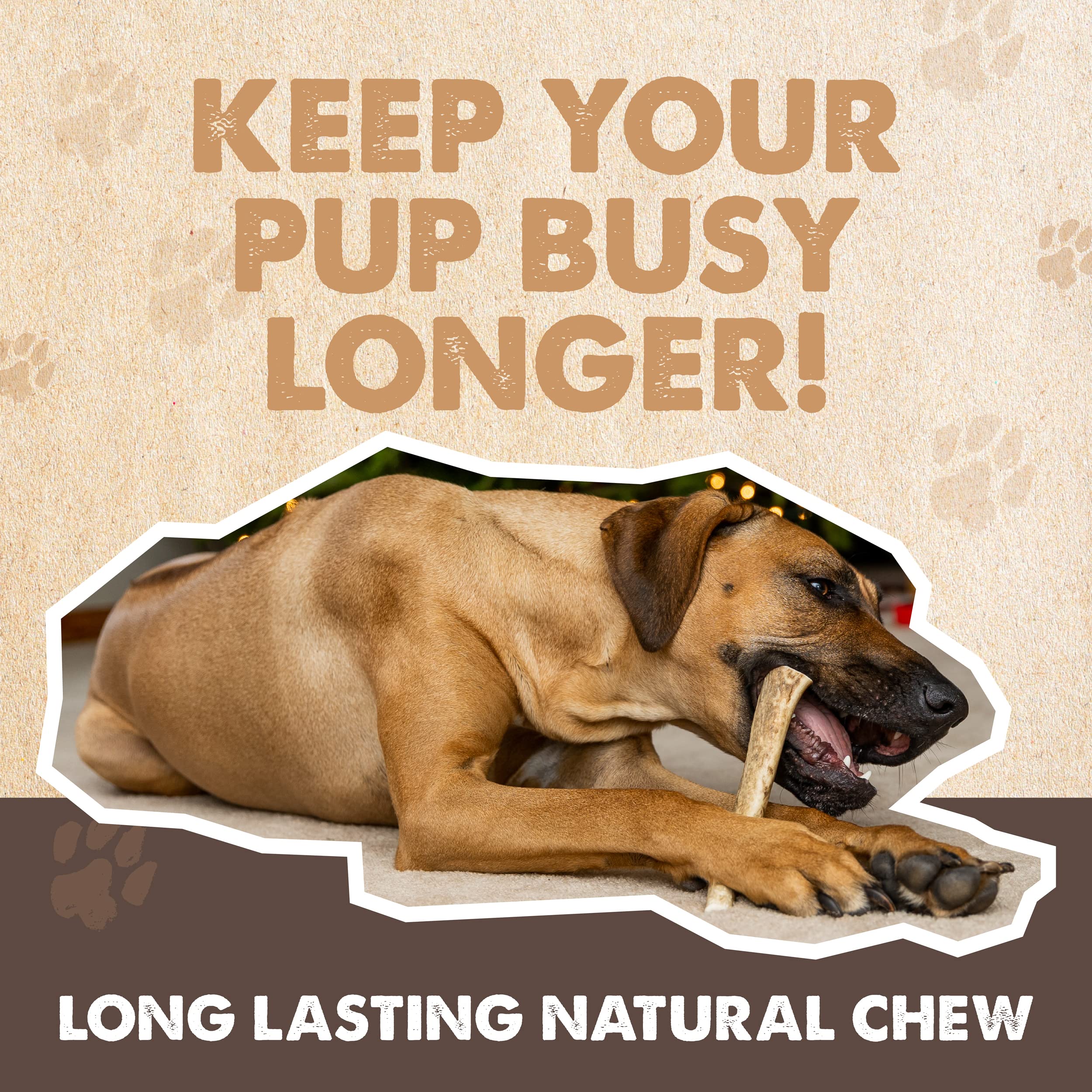 Cornamentas de Alce Mighty Paw para Perros | Tamaño - Imagen 4