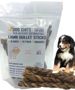 Tripas de cordero Dog Chits para perros - Premios para