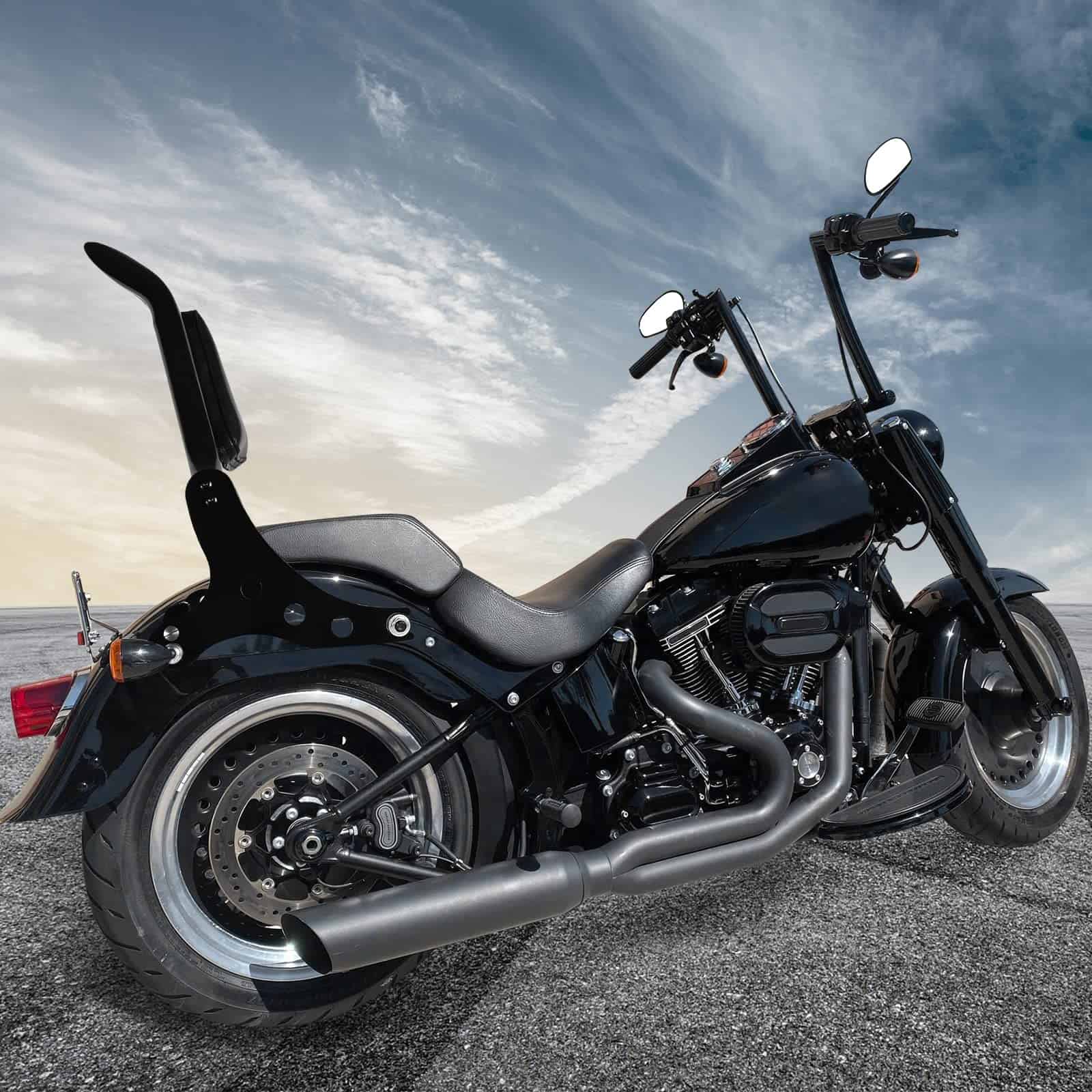 Respaldo del pasajero de la barra de apoyo para motocicleta - Imagen 10