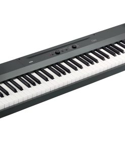 Piano Digital Portátil Korg Liano de 88 -Gris