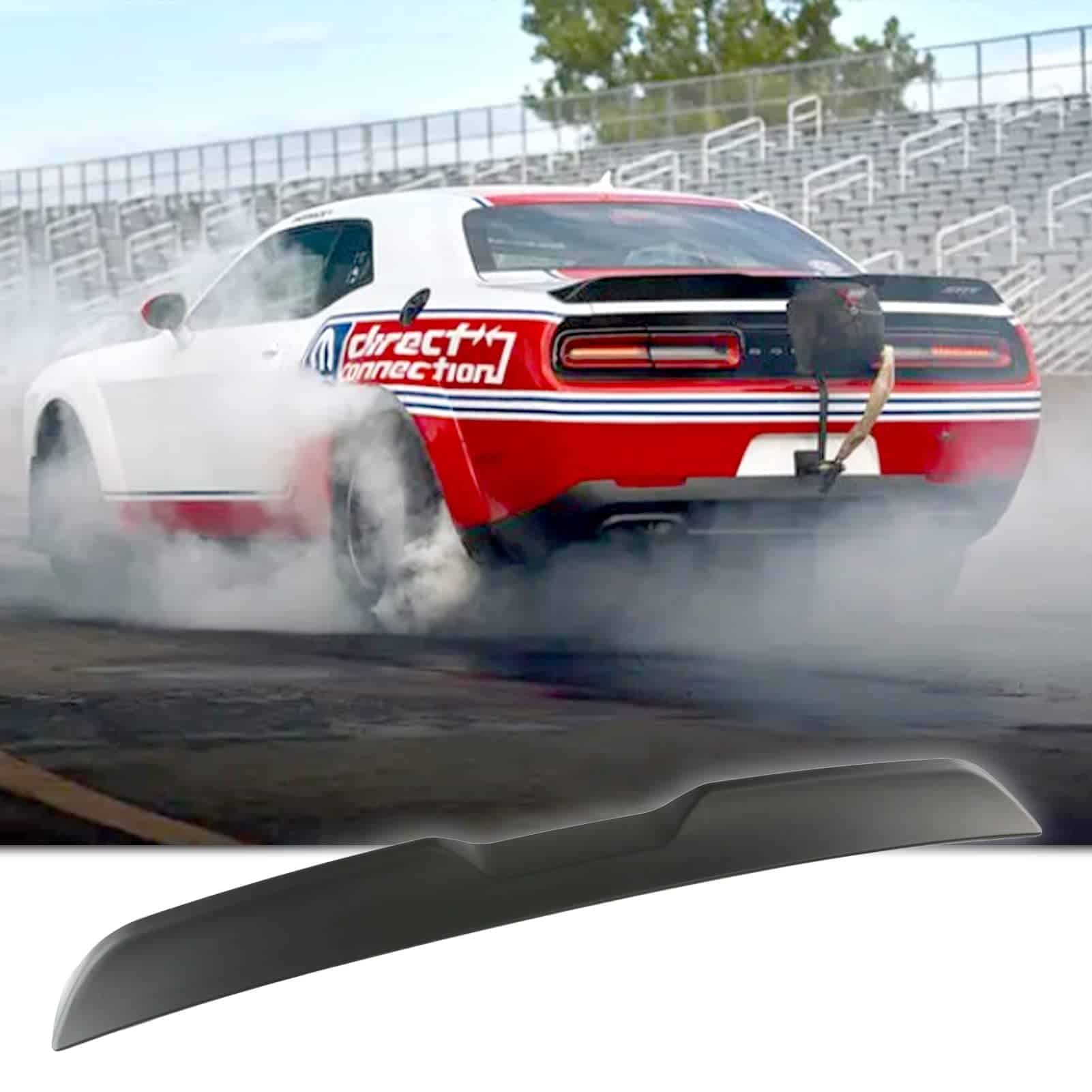 Alerón Trasero Acmex Compatible con Challenger 2008-2017