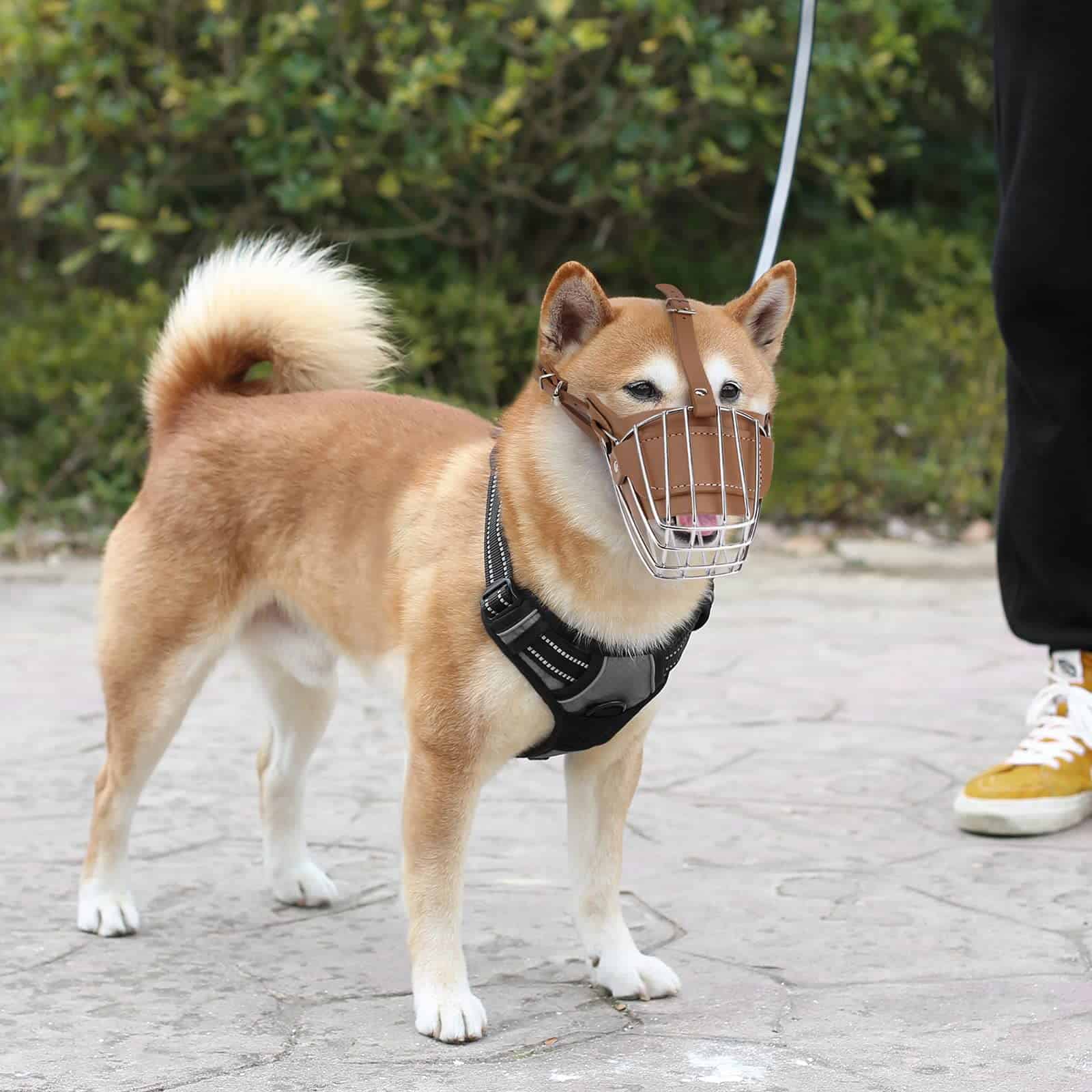 Bozal para Perros, Canasta Metálica Facial para Perros, - Imagen 5