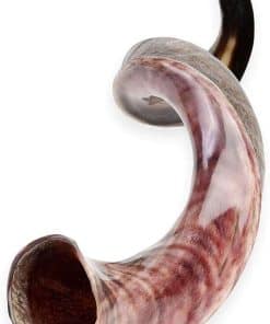 Nuevo Shofar Israelí Kosher Yemenita Kudo Kudu Tamaño
