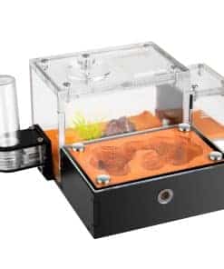 Hormiguero para adultos Rimsunta Ant Farm Ant House para el
