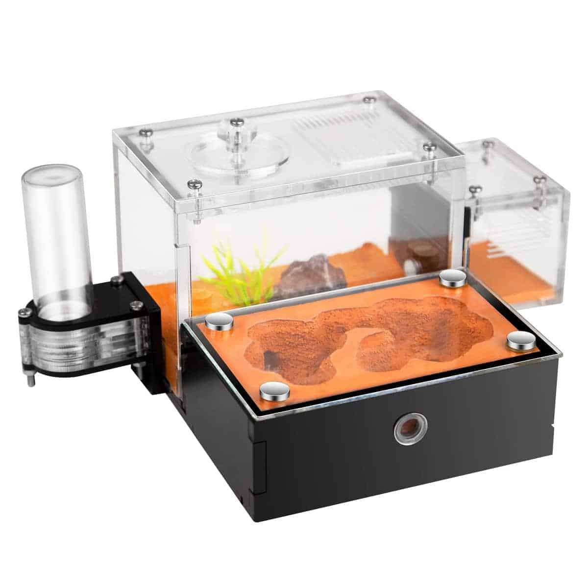 Hormiguero para adultos Rimsunta Ant Farm Ant House para el