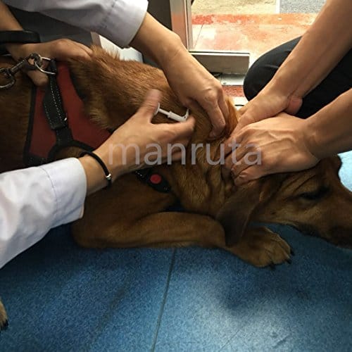 Microchip ISO para Perros y Gatos Manruta 15 Gauge Tamaño - Imagen 8