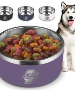 Tazón de Agua Extra Grande Doble Aislamiento para Perros