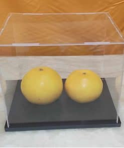 Clear Acrylic Display Case Box - Vitrina de Acrílico