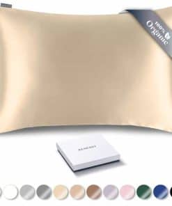 Funda de Almohada de Seda Orgánica RENESSY -Beige