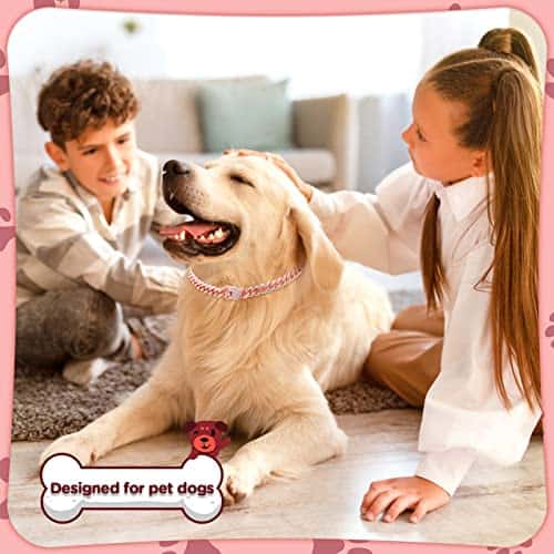 Collar de Cadena Brillante para Perro de 20 pulgadas en Oro - Imagen 8