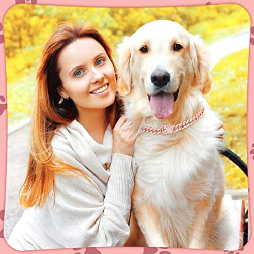 Collar de Cadena Brillante para Perro de 20 pulgadas en Oro - Imagen 9