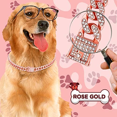 Collar de Cadena Brillante para Perro de 20 pulgadas en Oro - Imagen 5