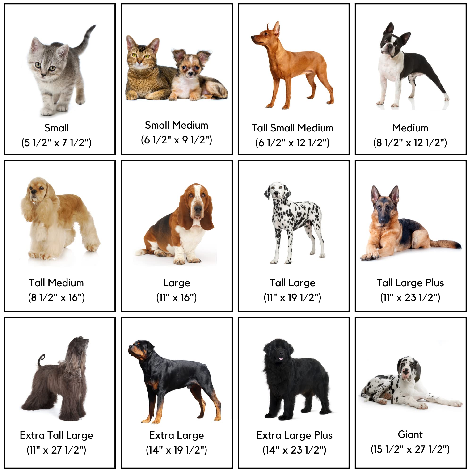 Puerta para Gatos y Perros en Puertas de Pantalla | Solapa - Imagen 5