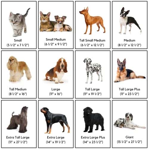 Puertas para gatos y perros para puertas de pantalla | - Imagen 5