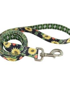 Correa para Perro Sublime de Coastal Pet - Correa para