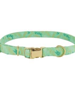 Collar Ajustable de Perro Coastal Pet Accent Metálico -