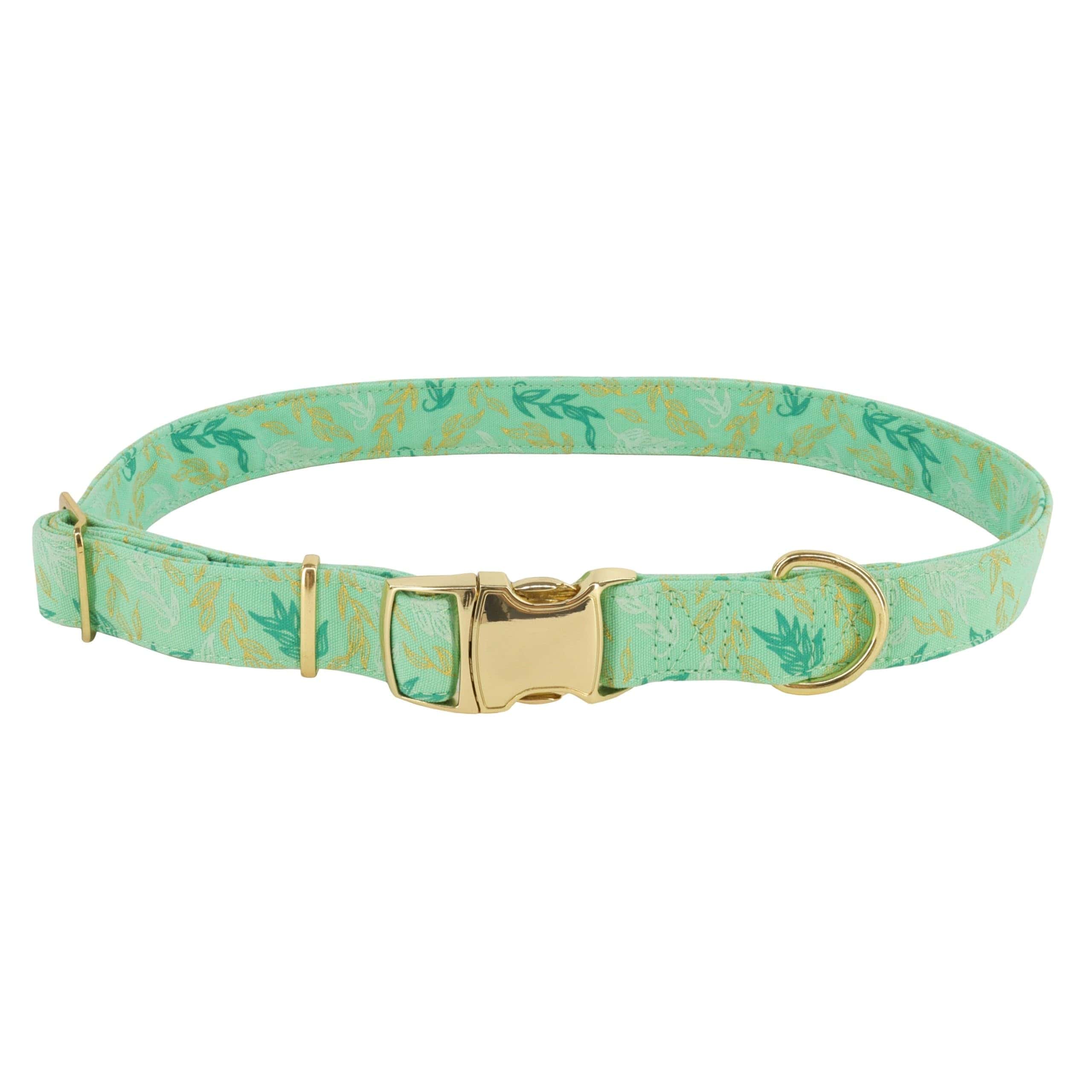 Collar Ajustable de Perro Coastal Pet Accent Metálico -