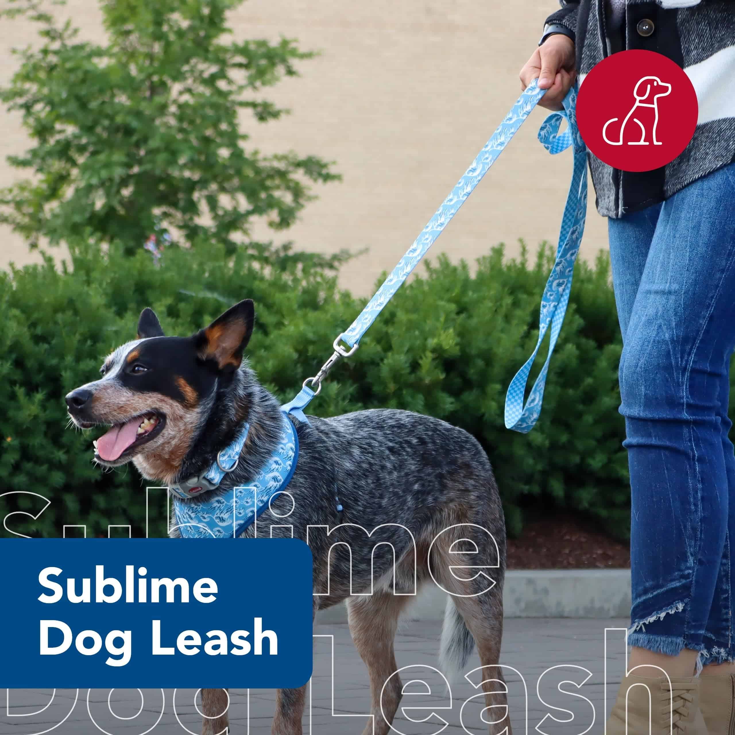 Correa para perro Coastal Pet Sublime - Correa para perros - Imagen 3