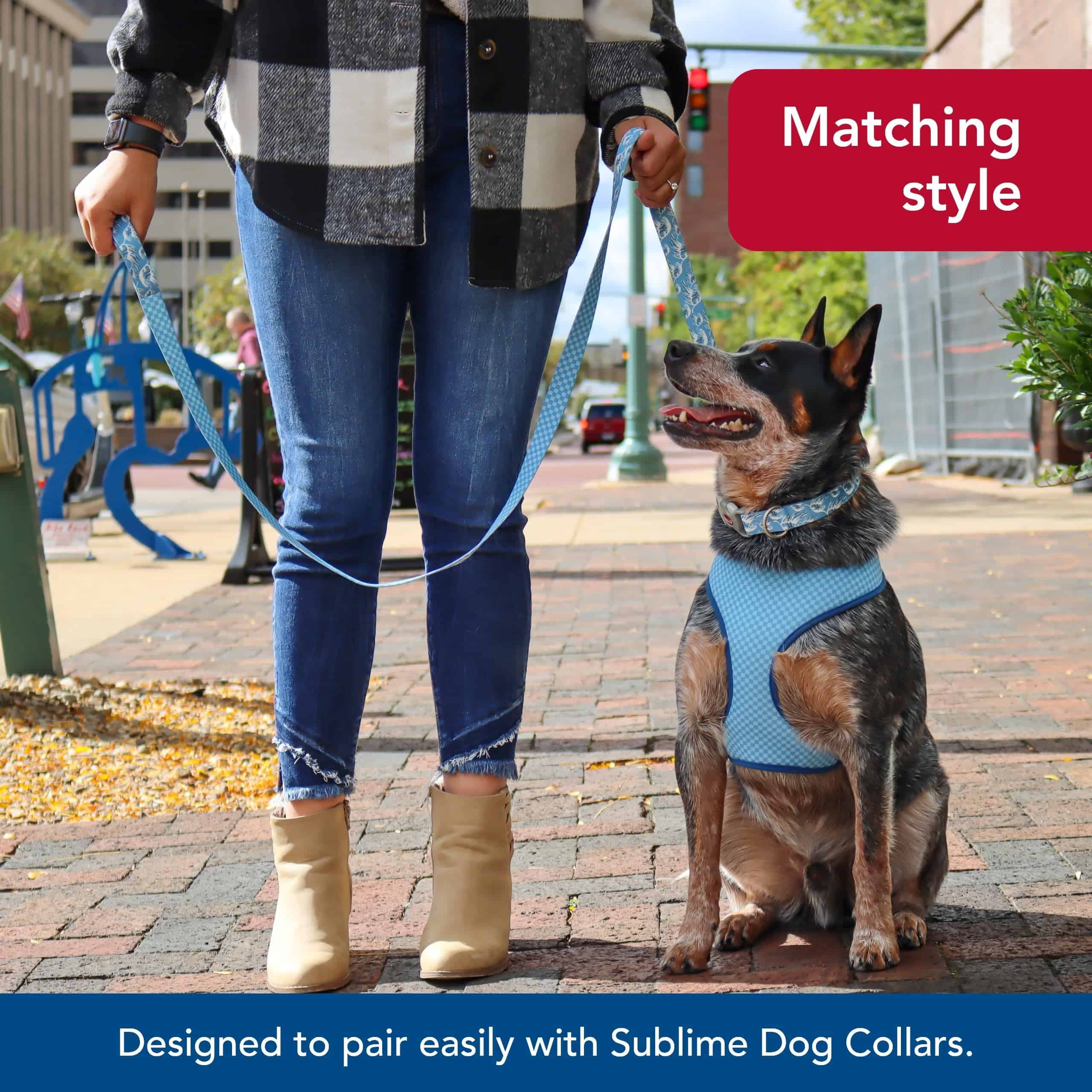 Correa para perro Coastal Pet Sublime - Correa para perros - Imagen 7