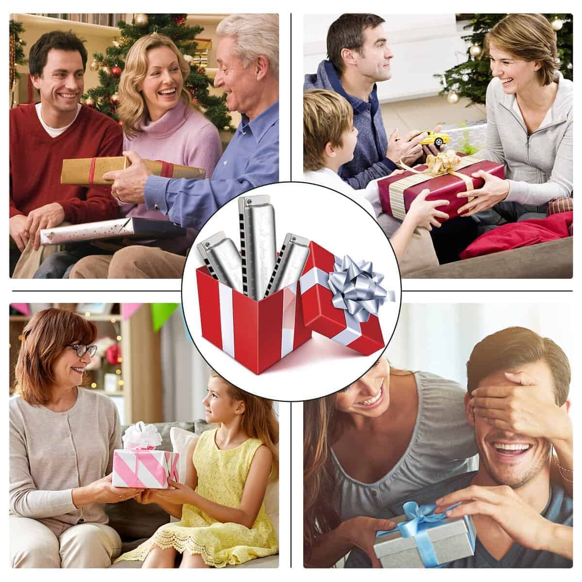 Arpa Folk Solist KONGSHENG, armónica diatónica de 10 - Imagen 7