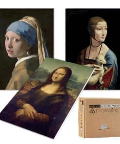 Paneles Absorbentes de Sonido Pinwelife para Pared, Arte