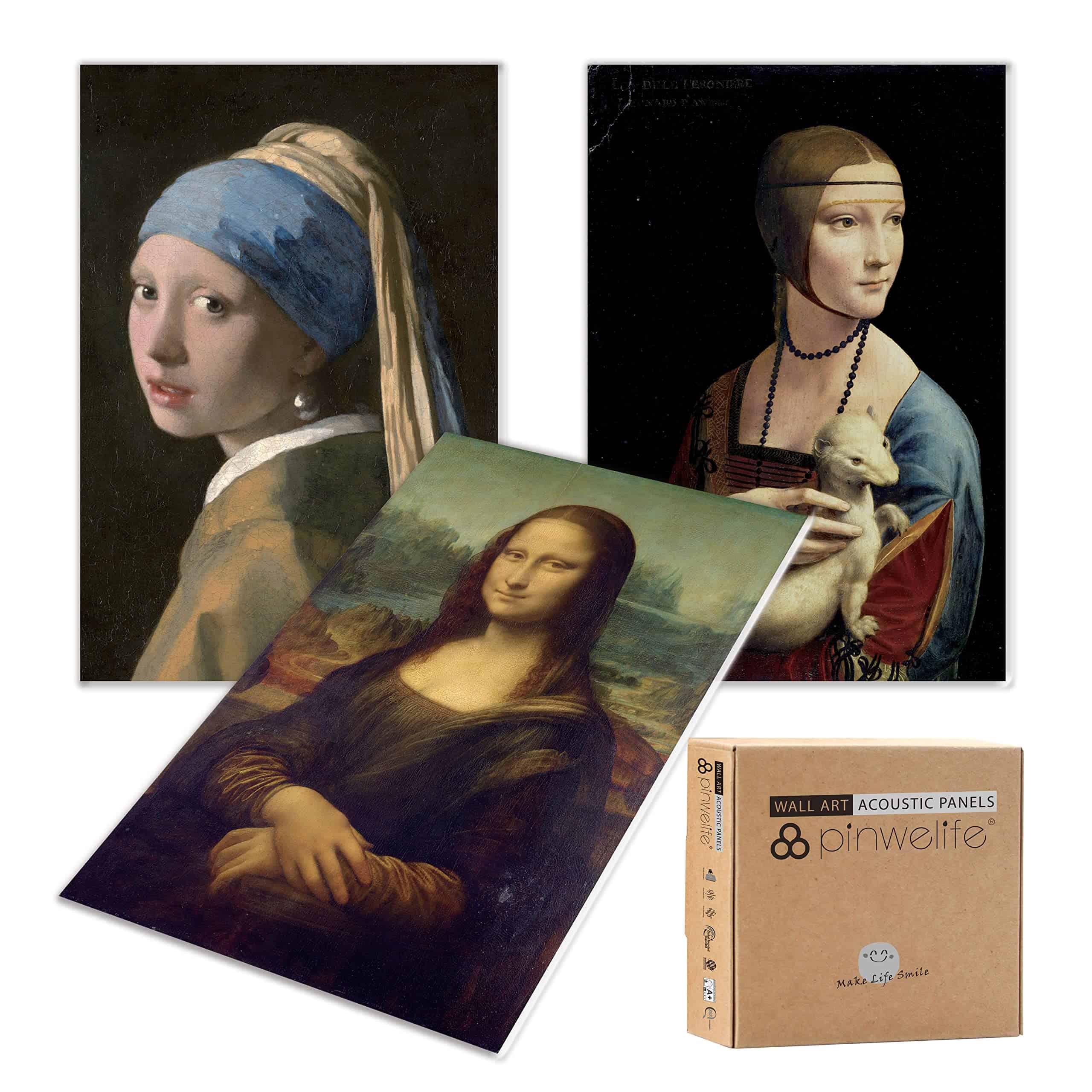 Paneles Absorbentes de Sonido Pinwelife para Pared, Arte