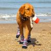 Botas de Neopreno para Perros Bark Brite Diseñadas para