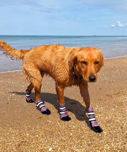 Bark Brite Botas Protectoras de Neopreno Ligero para Patas