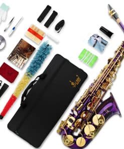 Saxofón Eb Alto SLADE para Principiantes, Saxofón para